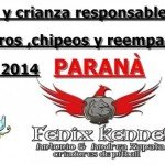 Imagen destacada del artículo «Jornada de Registros en Parana Entre Ríos»